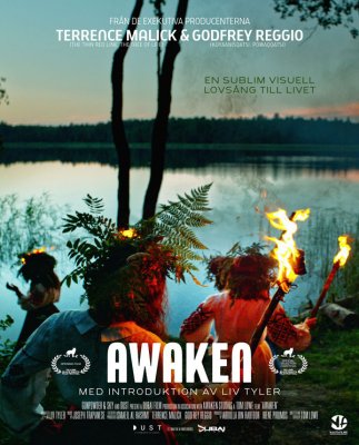 Awaken (Blu-ray)