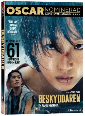Beskyddaren (DVD)