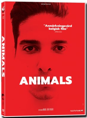 Animals (DVD)