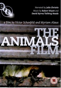 Animals Film DVD